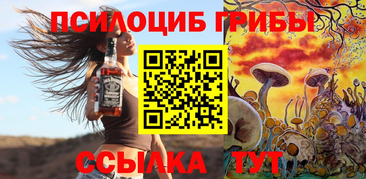 Псилоцибиновые грибы MAGIC MUSHROOMS  Вход с VPN  Галлюциногенные грибы MAGIC MUSHROOMS  Назрань 